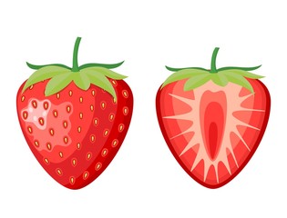 red berry strawberry and a half of strawberry isolated on white background. Vector illustration in flat style