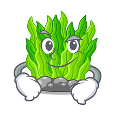 Poster - Smirking green seaweed isolated with the character