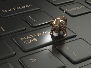 Wall Mural - 3d render of keyboard with natural gas button and bull