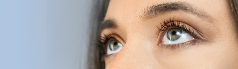 beautiful eyes macro close-up shot 