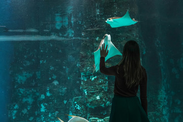 Wall Mural - Silhouette of a young beautiful girl on the background of a large aquarium with stingrays and other various fish.