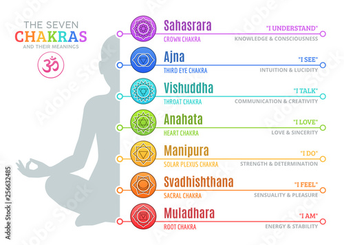 Fotografie, Obraz The Seven Chakras and their meanings