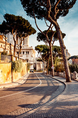 Fototapete - A typical landscape of Rome with tall trees and ancient buildings