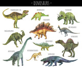 Watercolor set of hand drawn realistic dinosaurus. Realistic dino rex, spinosaurus,corhythosaurus,triceratops,stegosaurus,apatosaurus,saurosuchus,parasaurolophus etc
