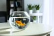 canvas print picture - Glass fishbowl on table