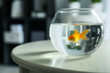 Glass fishbowl on table