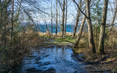 stream at seahurst beach 2