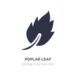 poplar leaf icon on white background. Simple element illustration from Nature concept.