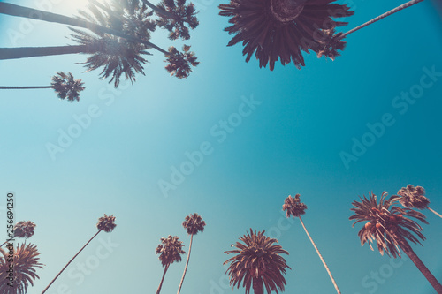 Leinwand Poster  Beverly hills palms vintage retro toned