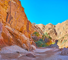 Poster - Rocky desert of Sinai, Egypt