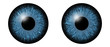 Blue eyes iris macro illustration