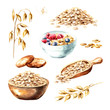 Oat ears and oat products. Cereal, grain, cookies, porridge, muesli set. Watercolor hand drawn illustration  isolated on white background