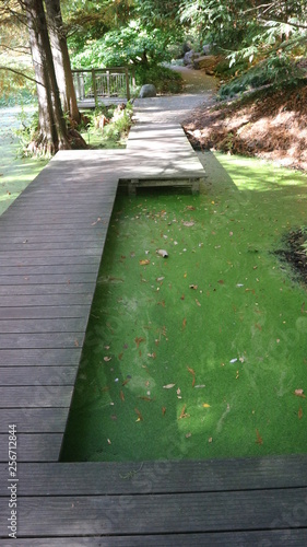 Botanischer Garten An Der Ruhr Universitat Bochum Buy This Stock