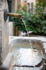 Wall Mural - Dog shaped fresh water fountain spout in the old city of Aix-enProvence, France