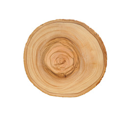 Wall Mural - cross section of tree trunk with annual growth rings isolated on white background