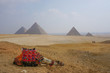 Giza, Egypt: A camel wearing a colorful saddle blanket takes a nap on the sand near the Khufu Pyramid Complex.