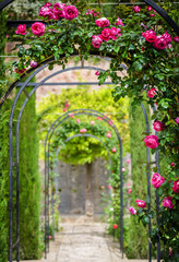  flower arches in the garden