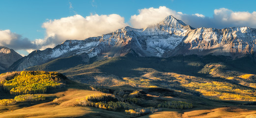 Wall Mural - Golden Autumn Aspen on Last Dollar Road near Telluride Colorado