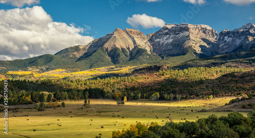 Fotomural Autumn at a cattle ranch in Colorado near Ridgway - County Road 9 - Ralph Lauren