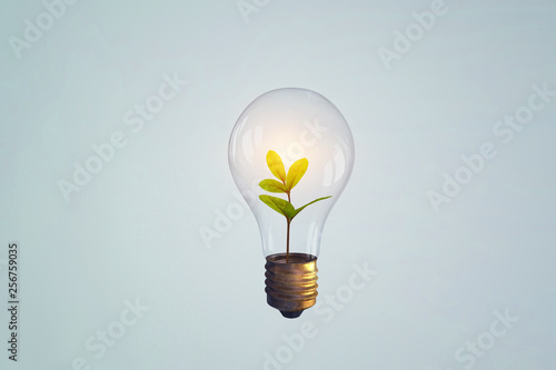 Fotografie, Obraz Energy saving concept