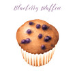 Isolated hand drawn blueberry muffin. Watercolor illustration of baked  dessert.