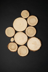 Wall Mural - Pine tree cross-sections with annual rings on black background. Lumber piece close-up shot, top view.