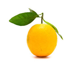 fresh orange on a white background