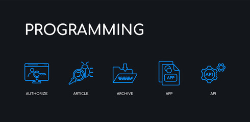 Wall Mural - 5 outline stroke blue api, app, archive, article, authorize icons from programming collection on bla