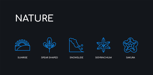  5 outline stroke blue sakura, sisyrinchium, snowslide, spear shaped, sunrise icons from nature collection on black background. line editable linear thin icons.