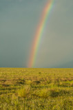 Fototapeta Tęcza - Rural landscape,and rainbow,Buenos Aires province , Argentina