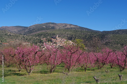 Village De Montagne Des Pyrénées Orientales De Eus Et Arbre