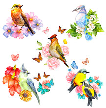 Romantic Collection Of Pretty Cute Birds. Watercolor Painting