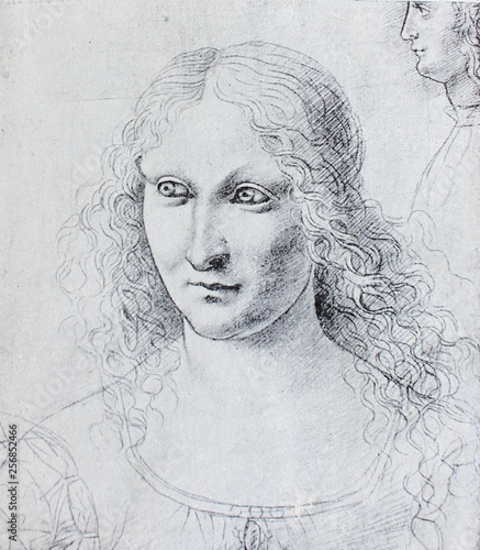 Naklejki Leonardo da Vinci  glowa-kobiety-leonarda-da-vinci-w-zabytkowej-ksiazce-leonard-de-vinci-eugene-muntz-1899