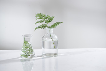 Wall Mural - clear water in glass flask and vial with natural green leave in biotechnology science laboratory bac