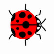Ladybug, insect, illustration