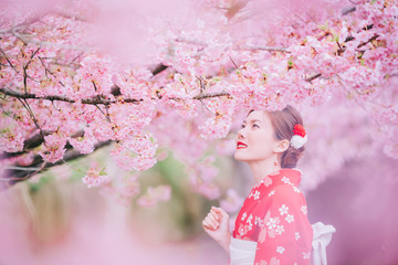 Wall Mural - Asian woman wearing kimono with cherry blossoms,sakura in Japan.