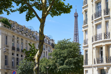 Wall Mural - Eiffel Tower, Paris buildings and trees in a sunny summer day, clear blue sky