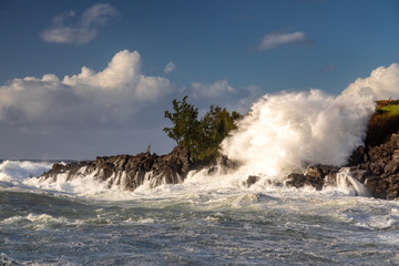 Wall Mural - Huge waves at Kapalua Bay