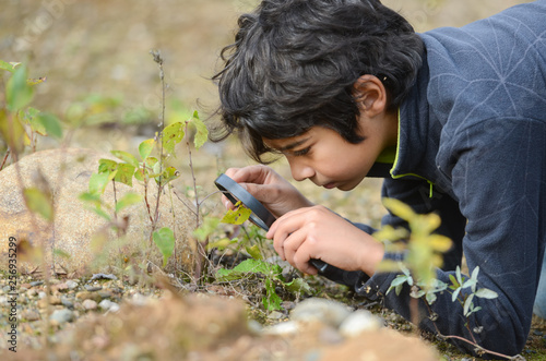 Fotomural a boy in nature sitting on the ground looking at a magnifying glass plants