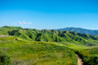 Trail winding through Chino Hills State Park during the spring superbloom.