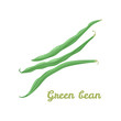 © Sunnydream - Vector illustration of green bean pods.  Flat icon isolated on white. Vegetable.