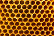 © NokHoOkNoi - close up of Honeycomb bee home