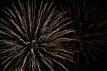 close-up photo of fireworks exploding in the night sky