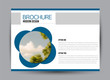 © Natalie Adams - Flyer, brochure, billboard template design landscape orientation for business, education, school, presentation, website. Blue color. Editable vector illustration.
