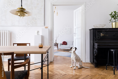 Dog Sitting On Floor In Living Room Kaufen Sie Dieses Foto