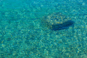 Wall Mural - vivid aquamarine colorful tropic water background with blurred and glares surface from sun and stone on shallow bottom, summer and sea vacation concept