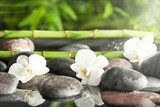Fototapeta Sypialnia - Spa stones with flowers and bamboo branches in water