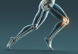 Human legs and bones, x ray, 3d rendering