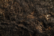Top View Of Burned Grass On Field.