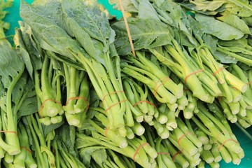 Wall Mural - chinese kale for cooking at street food